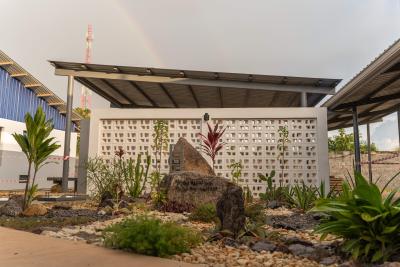 courtyard with plants and flowers