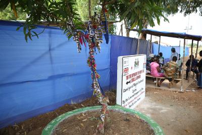 A tree with fabric tied to its branches
