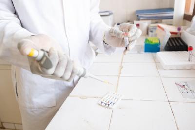 Someone in a laboratory conducts blood tests