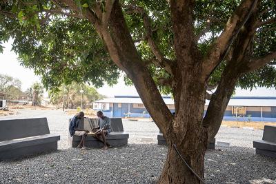 Two men play a board game sitting on a bench under a mango tree