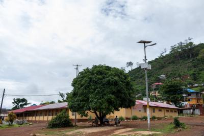 A mango tree at Lakka Government Hospital